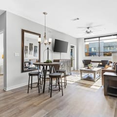 Luxurious Downtown 2 bedroom 2 bath- 1M Parking included